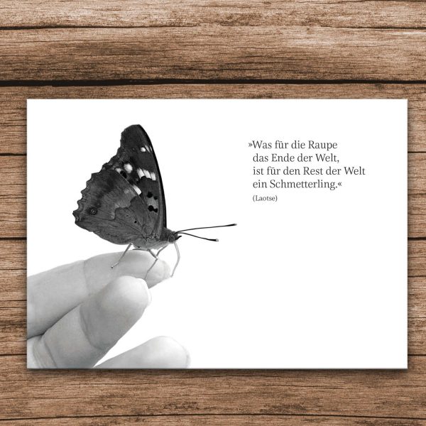Trauerkarte Schmetterling und Raupe