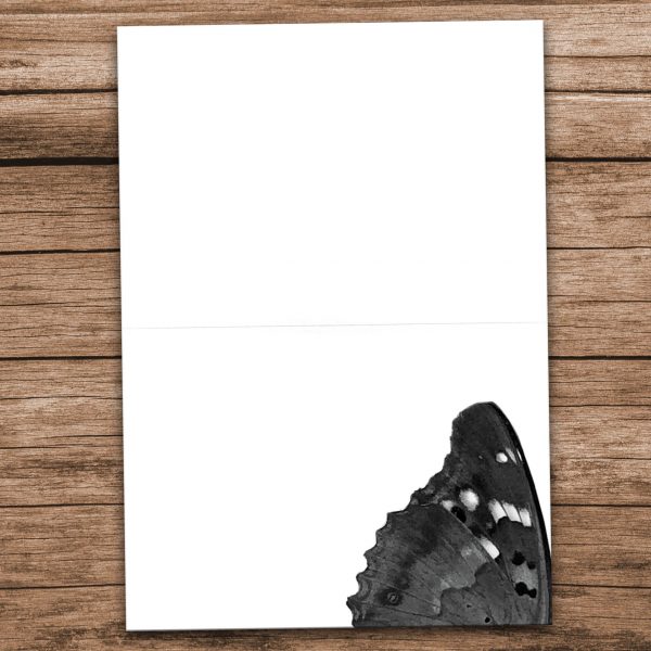Trauerkarte Schmetterling und Raupe - Innenseite